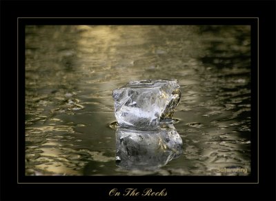 on the rocks
