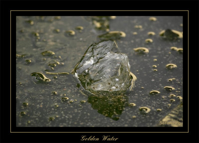 golden water