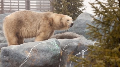 20120317-IMG_1368.jpg