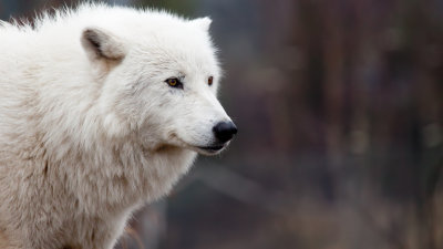20120317-IMG_1412.jpg