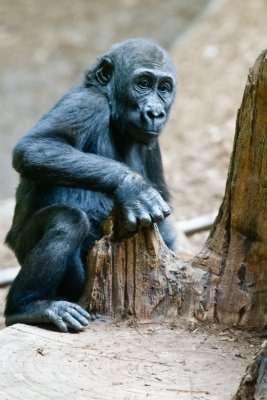 20120317-IMG_2999.jpg
