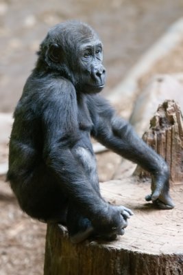 20120317-IMG_3002.jpg