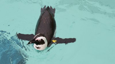 20120317-IMG_3097.jpg
