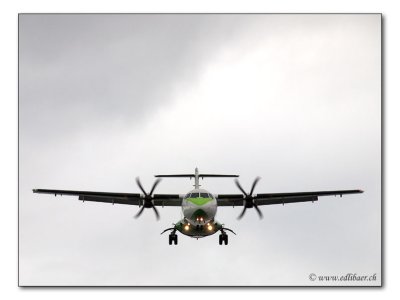 landing / Im Landeanflug (3247)