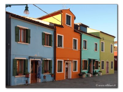 Burano - Venezia (6965)