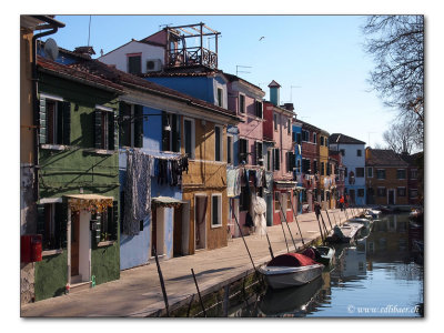 Burano - Venezia (6978)