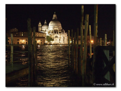 Basilica di S. Maria della Salute (3495)