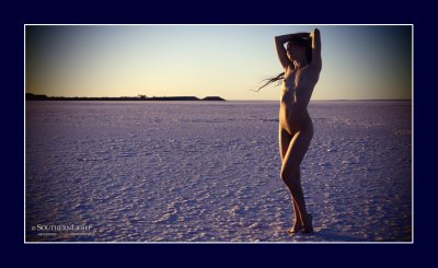 Venus in Search of Botticelli.
