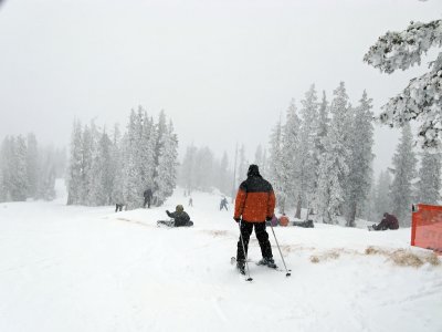 IMG_0133_DxO_sm.jpg