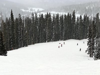 IMG_0194_DxO_sm.jpg