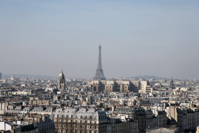 IMG_3731_dxo.jpg