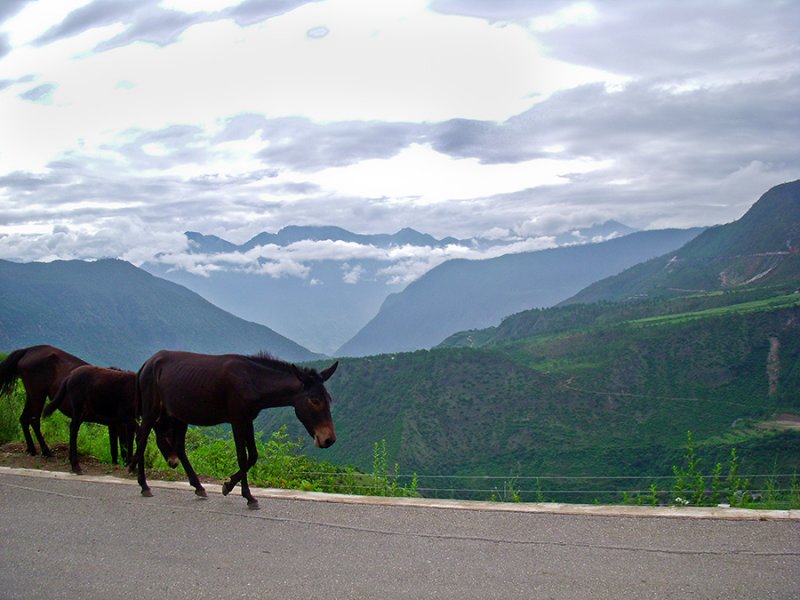 Tiger Leaping Gorge