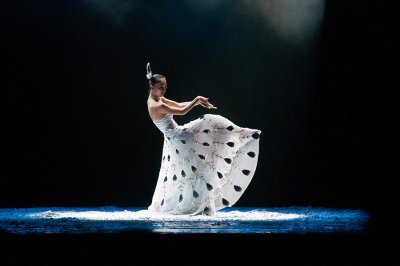 g4/45/52545/3/137291151.KREeOyho.jpg