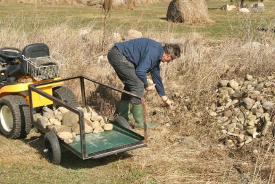 Notre ami Normand saffaire  la cueillette de pierres et de mousses.