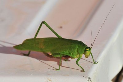 _LND4685_079.JPG