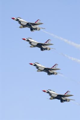 Tbird vertical stack 2.jpg