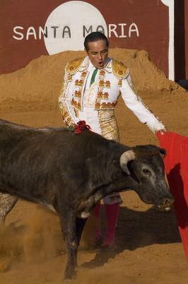 Bloodless Bullfights in La Gloria, Texas