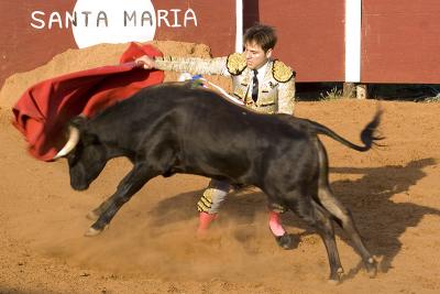 Bloodless Bullfights in La Gloria, Texas