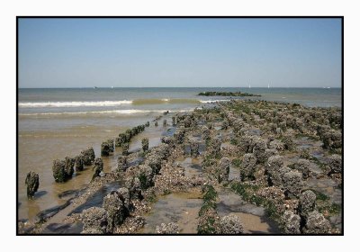 Belgian Coast