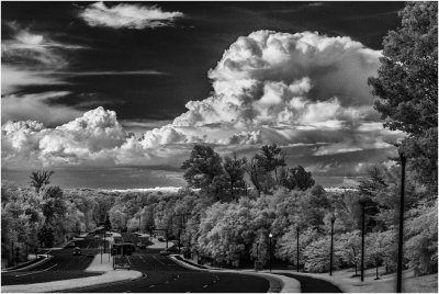 View down Cascades Parkway toward Algonkian Park