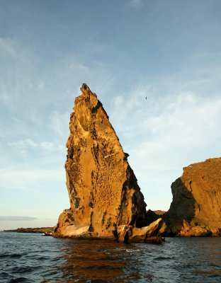 Galapagos Wildlife