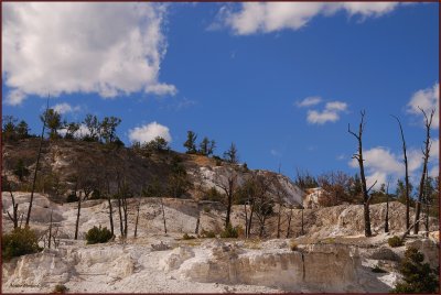 85- Yellowstone National Park