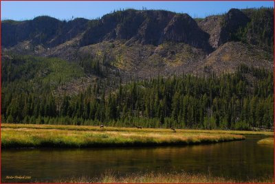 88- Yellowstone National Park