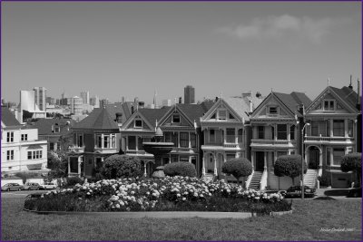 San Fransico Painted Ladies Victorian  Homes 