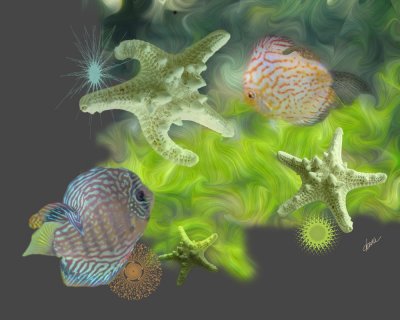 fish-dreams.jpg