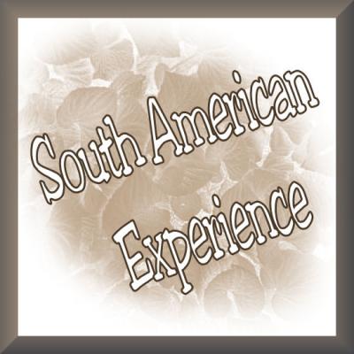 south_american_experience