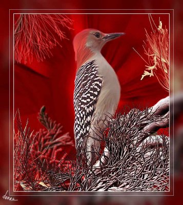 woodpeck-in-camo-dtk.jpg