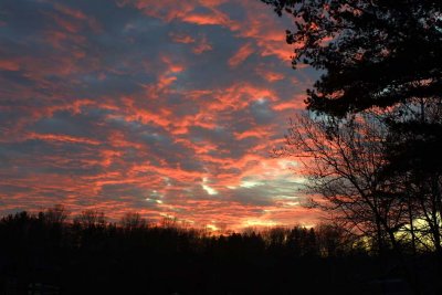 IMG_1759.jpg