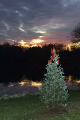IMG_1772.jpg