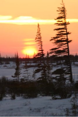 IMG_6092.jpg