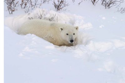 IMG_6244.jpg