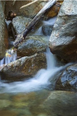 CRW_2527.jpg