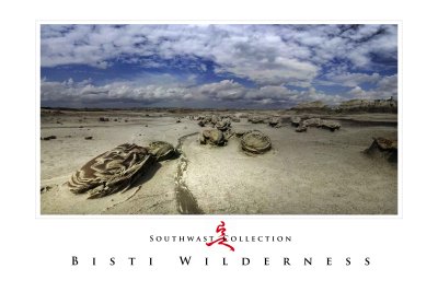 Art Poster_Bisti_Cracked Eggs Pano copy.jpg