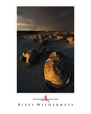 Art Poster_Bisti_Last Light copy.jpg