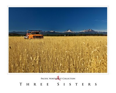 Art Poster_Three Sisters_Farmland_v2 copy.jpg