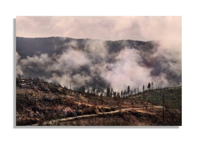 IMG_9429