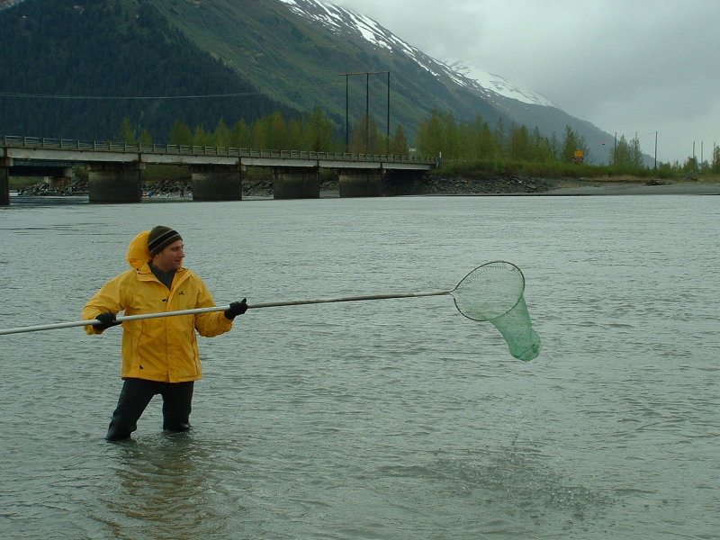 Dipnetting candlefish/hooigan along the 20 Mile River