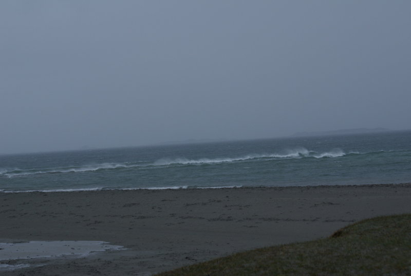 DSC06803.JPG