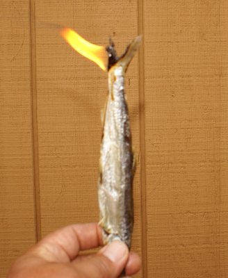 Candlefish (or Fish on Fire)