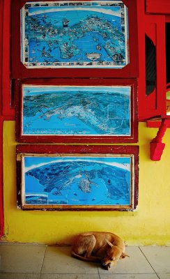 information wall