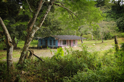 Rainforest housing