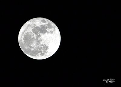 Nights Pictures / Photos de Nuit