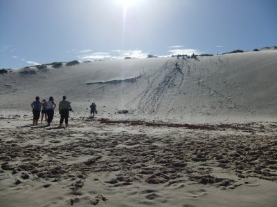 Sand boarding people
