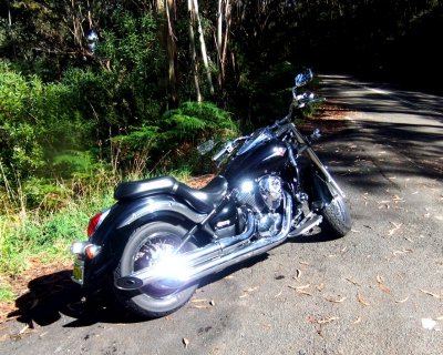 My motorcycle posing on a forested road