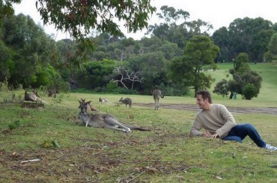 Me meeting kangaroos in the wild for the first time