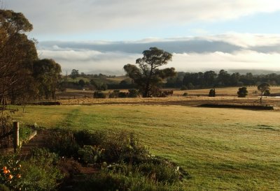 Peaceful farm area